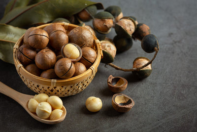 Macadamia Nuts — The King of Good Fats