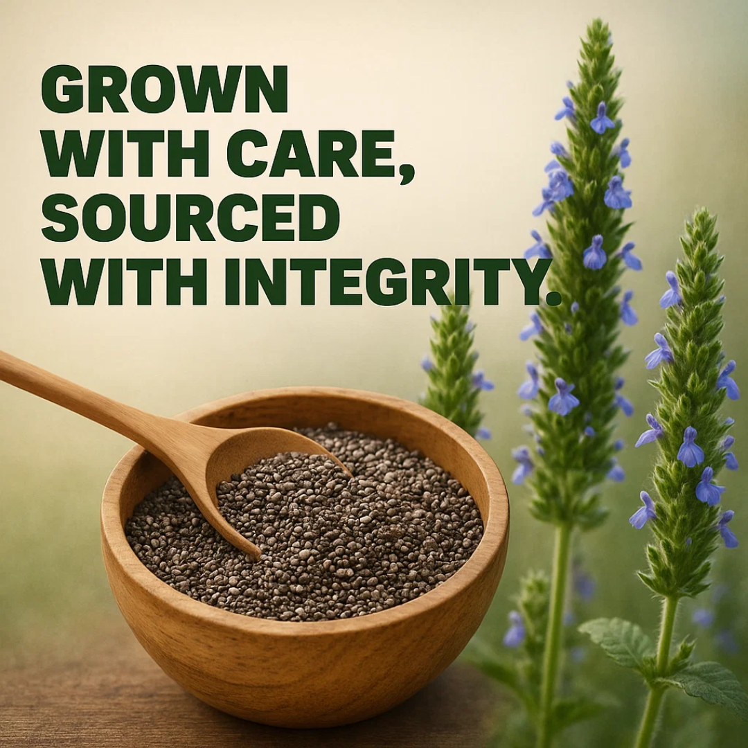 Chia Seed